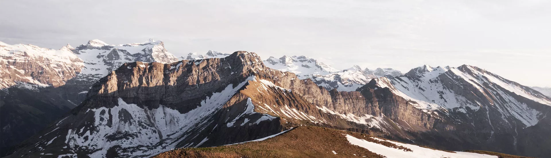აპლიკაციები