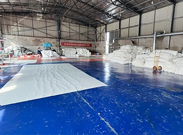 Disaster Relief Tent